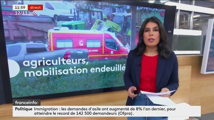 Emilie Tran NGuyen sur France Info (23/01/2024)