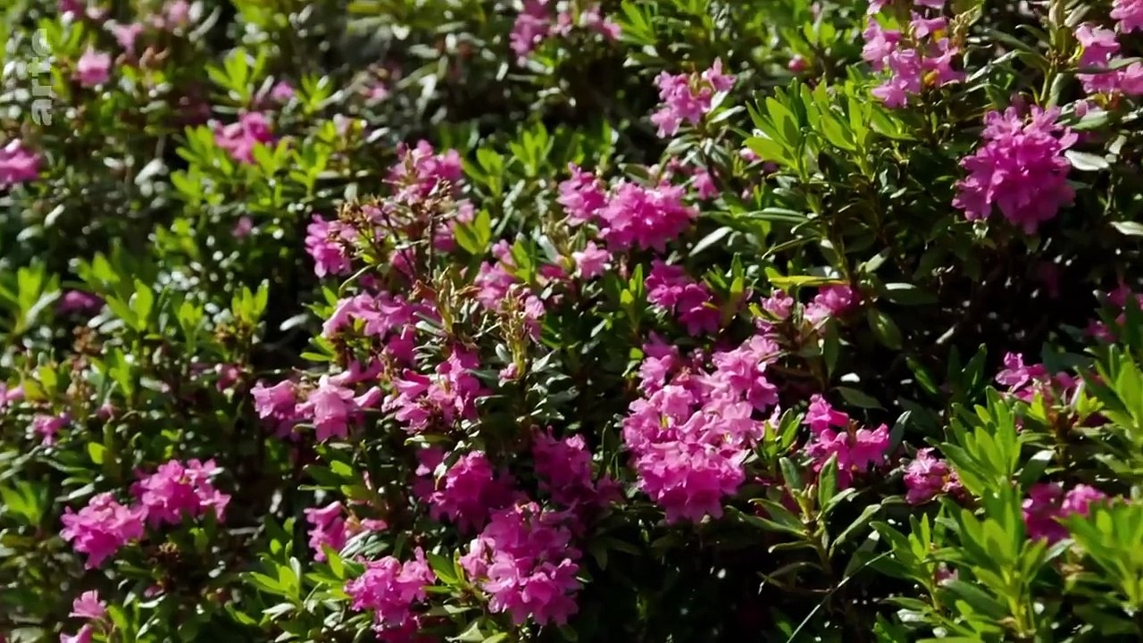 Andorre _ L'Europe dans tous ses (petits) États _ ARTE Family