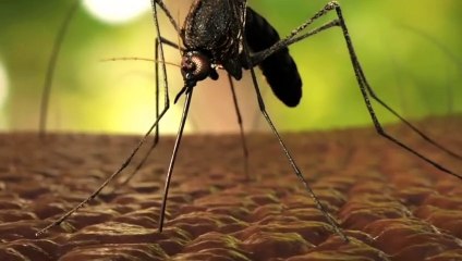 مرض الملاريا