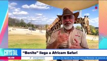 ¡Benito llegó a Africam Safari! ¿Qué sigue para la jirafa?