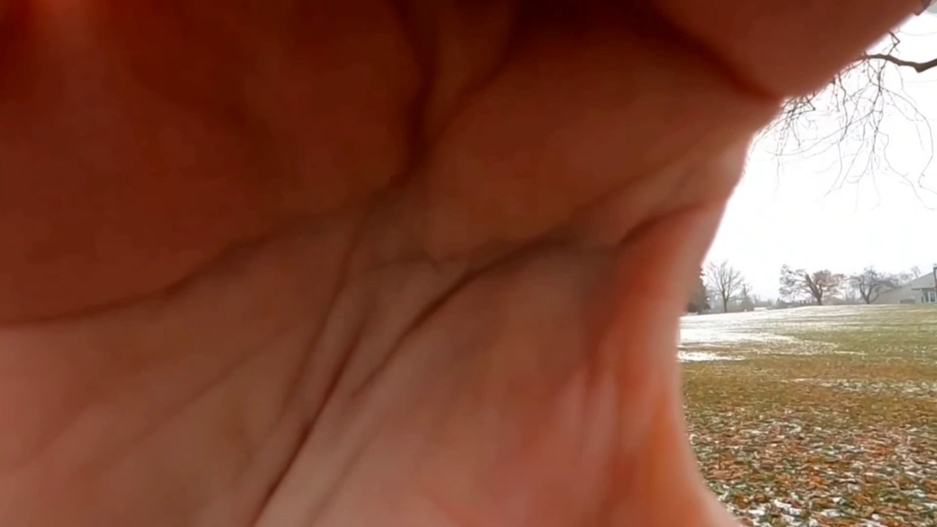 VOODOO 1992 Horror/Thriller Movie Review