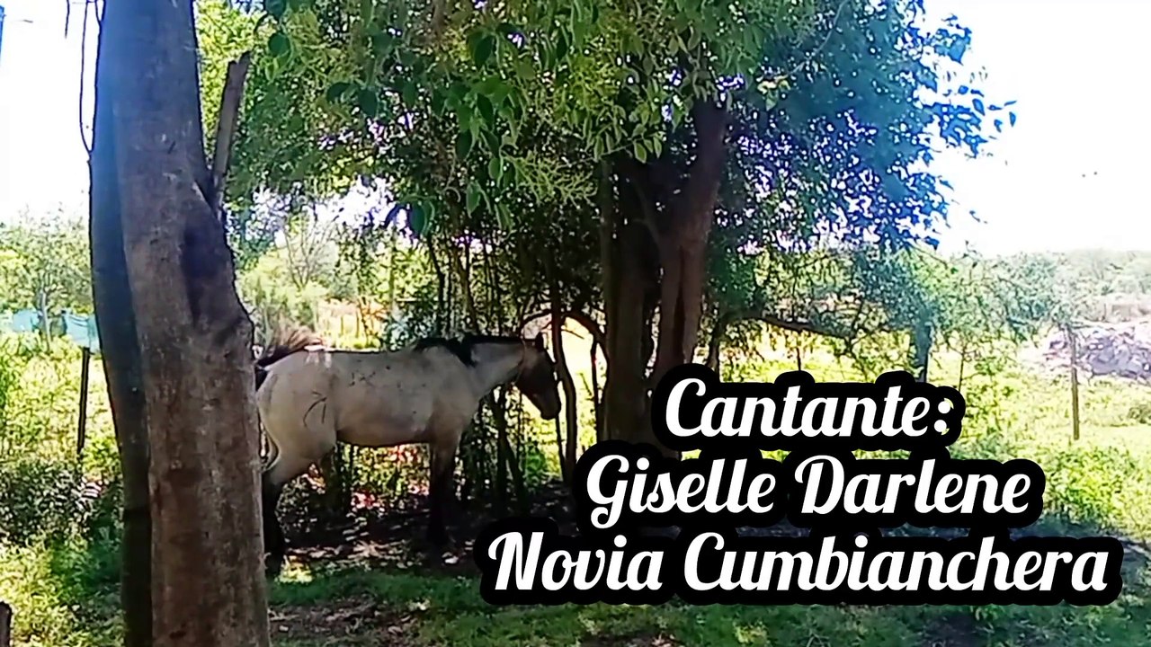 Novia Cumbianchera Siempre canta Giselle Romina Castillo Vargas