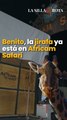 Benito, la jirafa ya està en Africam Safari