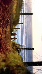 Home And Away 31th January 2024