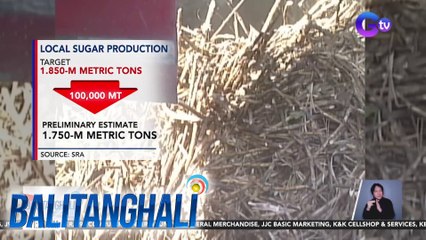 Produksiyon ng asukal sa ilang taniman ng tubo, apektado ng El Niño | BT