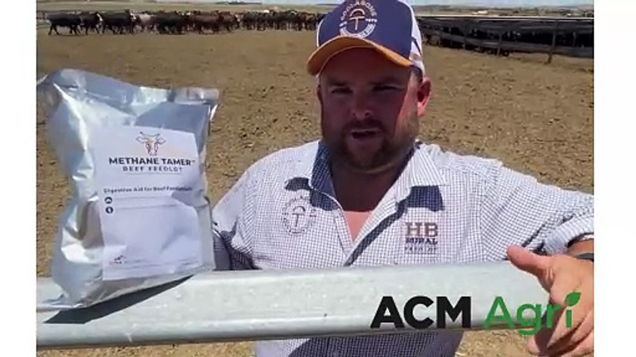 Heath Tiller, HB Rural feedlot, Warnertown, Stock Journal, January 2024 ...