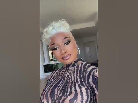 Megan Thee Stallion Announces Her New Snapchat Dog Series #shorts