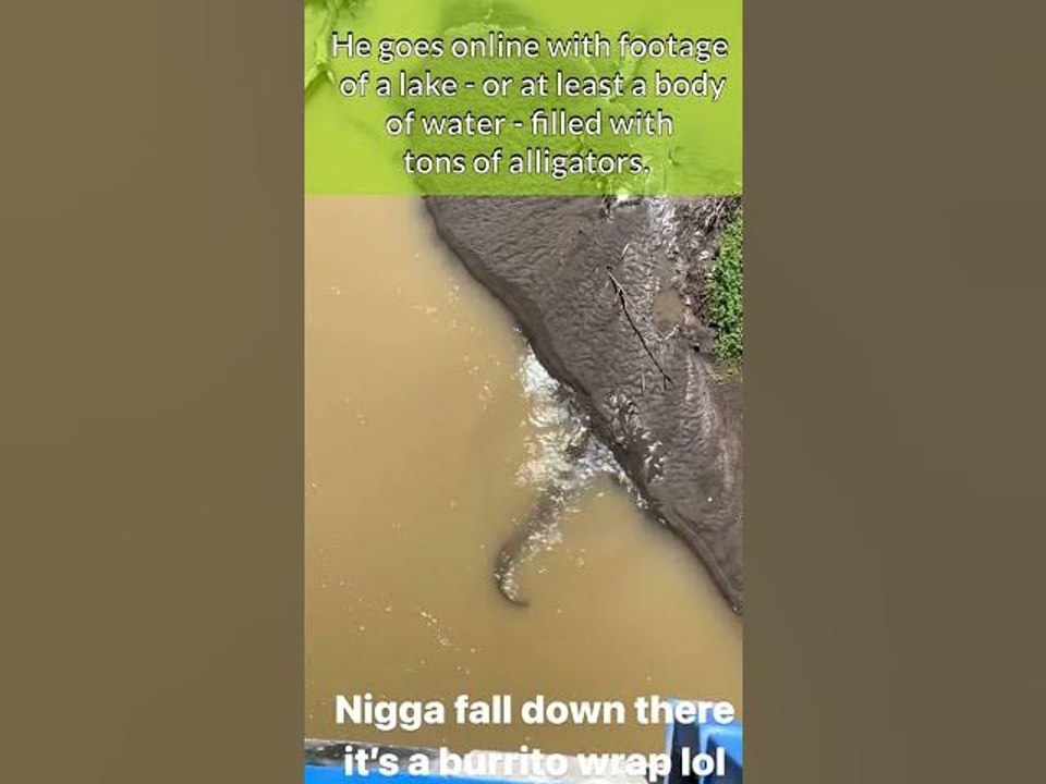 Game Pulls Up On A Lake Filled W/ Alligators #shorts