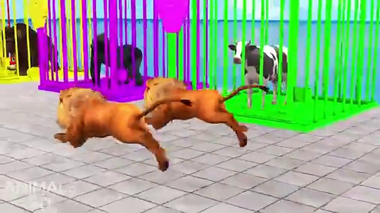 Cow Mammoth Elephant Lion Gorilla Guess The Right Key ESCAPE ROOM CHALLENGE Animals Cage Game(360P)