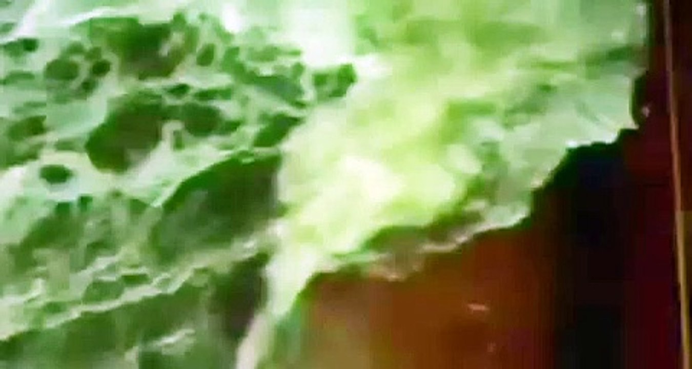 Şanghay açıklarında Türk denizcilerin bulunduğu gemi battı