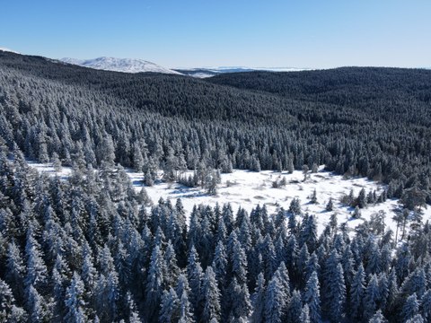 Beyaza bürünen Küre Dağları havadan görüntülendi