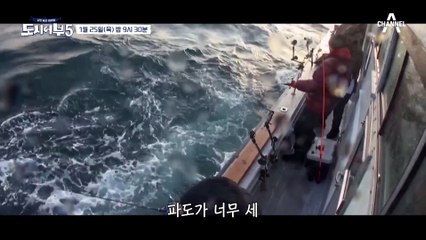 [예고] 작은 참돔만 잡아도 도시어부들은 행복해~♡ 행복한 도시어부 보러오세요!