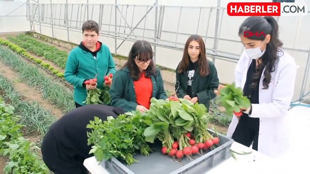 Erzincan'da öğrenciler serada organik sebze yetiştiriyor