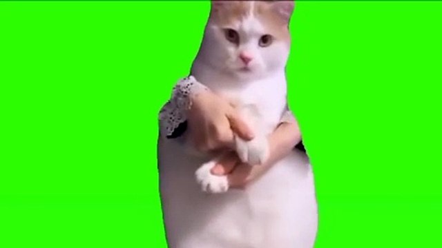 إستمع إلى موسيقى ريمكس نار كلين#remix