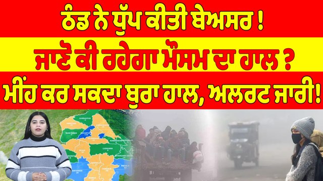 ਠੰਡ ਨੇ ਧੁੱਪ ਕੀਤੀ ਬੇਅਸਰ! ਜਾਣੋ ਕੀ ਰਹੇਗਾ ਮੌਸਮ ਦਾ ਹਾਲ? ਮੀਂਹ ਕਰ ਸਕਦਾ ਬੁਰਾ ਹਾਲ,ਅਲਰਟ ਜਾਰੀ!|OneIndia Punjabi