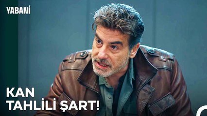 Deliller Tek Tek Karartılıyor - Yabani 19. Bölüm