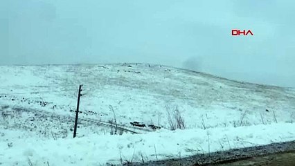 Gümüşhane'de kurt sürüsü köye indi