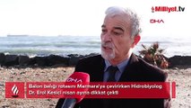 Ölümcül balon balığı rotayı Marmara'ya çevirdi! Nisan ayı uyarısı