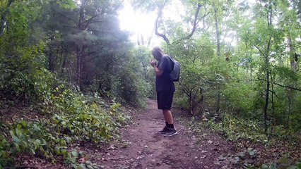 The Hand & Happy Birthday 2 Horror short Videos