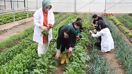 Liselilerin 300 metrekarelik serada yetiştirdiği sebzeler halka arz ediliyor