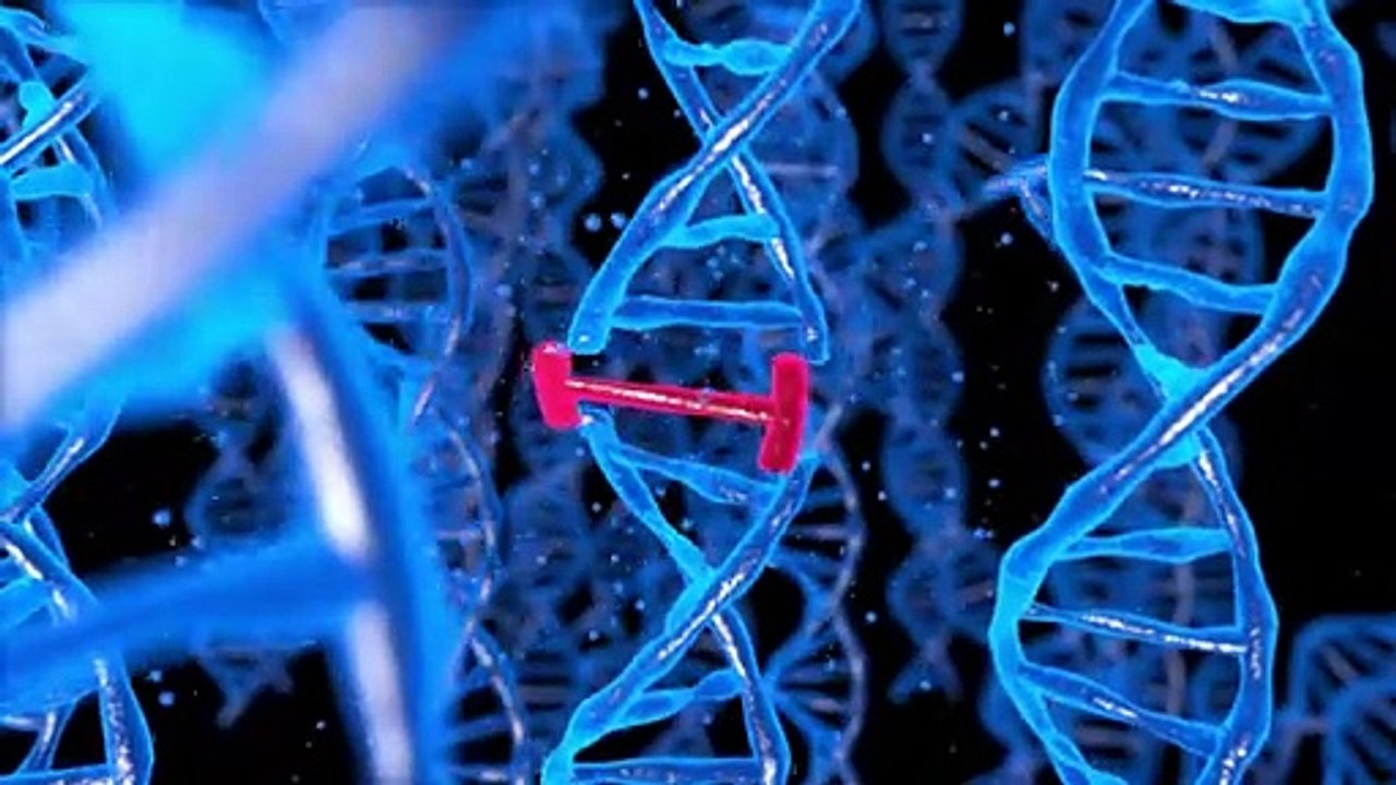 GMOs in agriculture