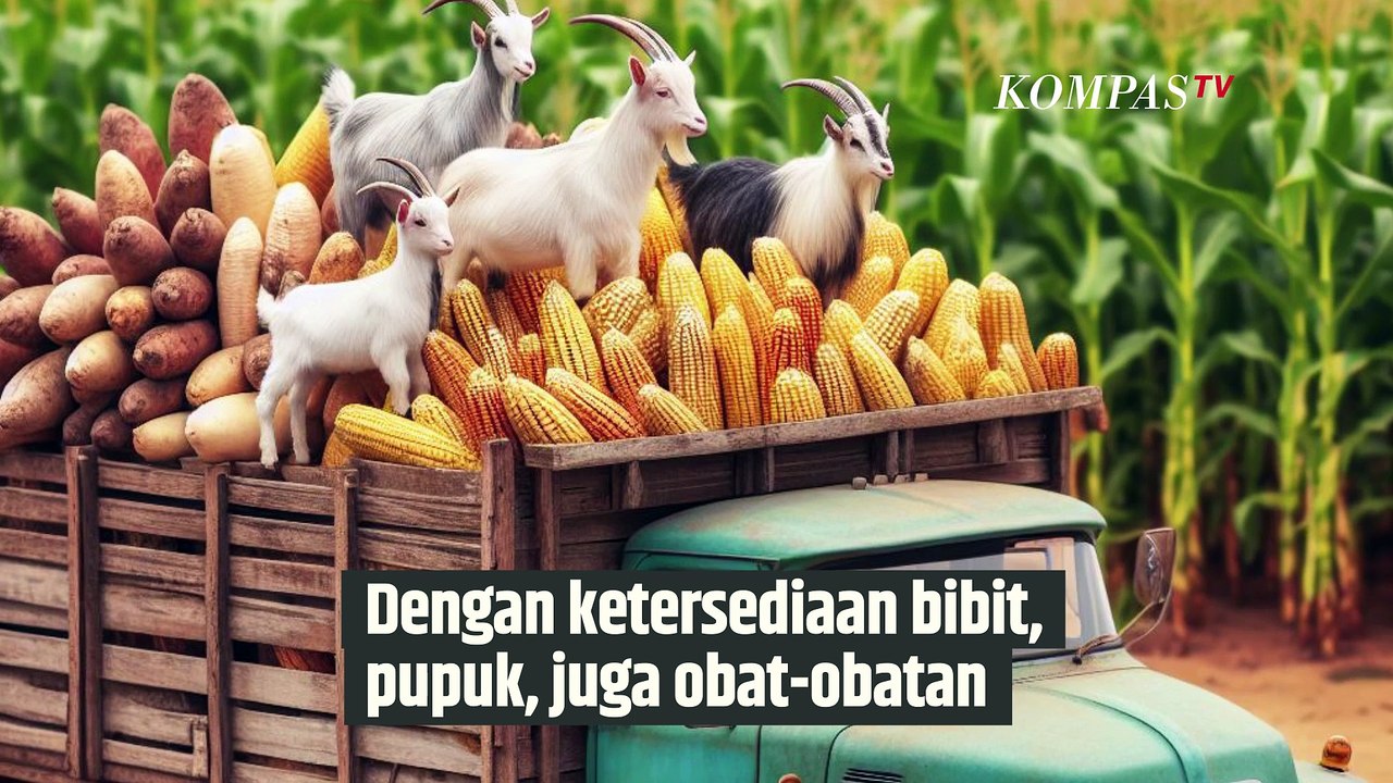 Mengenal Food Estate yang Jadi Sorotan Usai Debat Cawapres | SINAU