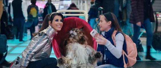 Chien et Chat 🐶🐱 - Découvrez la nouvelle bande-annonce !