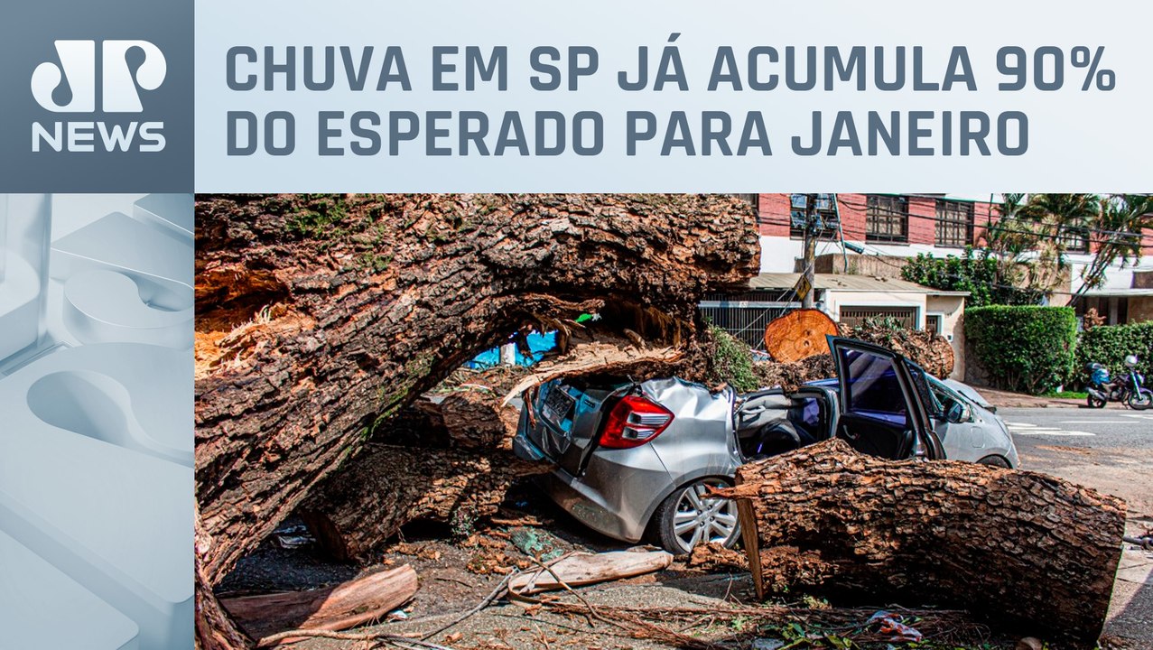Bombeiros registram 47 chamados para quedas de árvores em São Paulo
