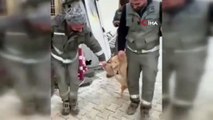 İşçilerin mola esnasında köpekle halayı güldürdü