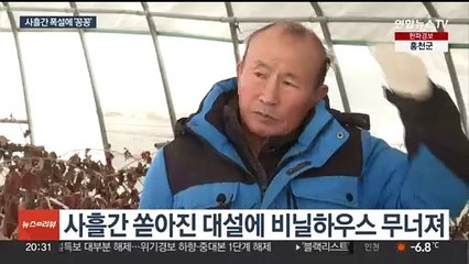 Скачать видео: 33㎝ 폭설에 비닐하우스 폭삭…'마비' 제주공항 운항 재개