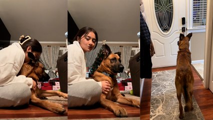 Lady Tells Dog Her Ex Isn't Coming Home