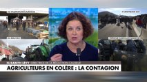 Elisabeth Lévy : «Je suis en colère contre nous tous (...) Nous adorons nos agriculteurs, mais nous nous précipitons dans les supermarchés»