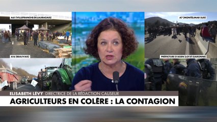 Elisabeth Lévy : «Je suis en colère contre nous tous (...) Nous adorons nos agriculteurs, mais nous nous précipitons dans les supermarchés»