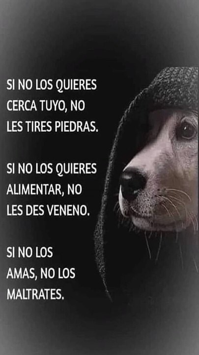 Compasión * en Acción: Transforma Vidas Ayudando a un Angelito Caído