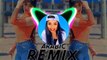 New Arabic Tiktok Song 2024 __ Arabic Music __ Bass Boosted _ Arabic Viral Remix Song
