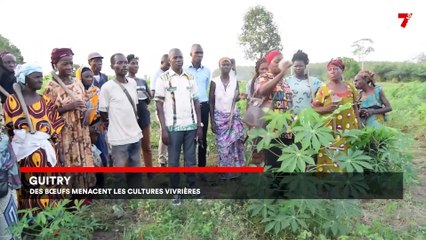 Le 7 minutes du 23 janvier 2024 (édition du 12H)