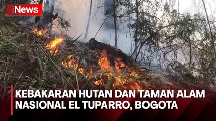 4,5 Hektar Taman Alam Nasional El Tuparro di Bogota Terbakar