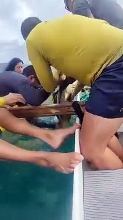 VÍDEO: Equipe de canoagem resgata tartaruga presa em rede de pesca