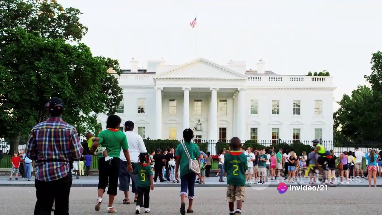 The 2024 US Presidential Election: A Tumultuous Journey