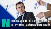 Feijóo anuncia que las autonomías del PP impulsarán una EBAU común