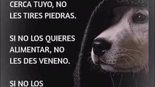 Escucha con el * Corazón: Descifrando el Mensaje de Ayuda de un Angelito