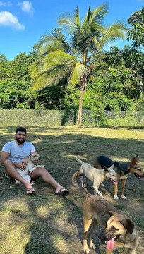 * El Valor de la Sinceridad: Un Verdadero Amigo de Corazón