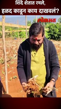 साताऱ्यातील दरे गावी शेतात मुख्यमंत्री एकनाथ शिंदे रमले