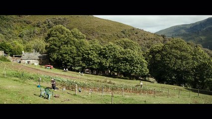 As Bestas Trailer Oficial Legendado