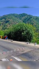 Azad Kashmir جنگلات Beautiful View