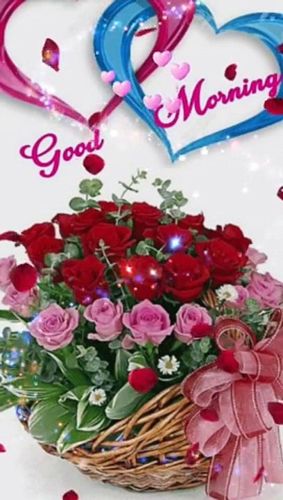 Good morning ji ---- _viral _love _whatsappstatus _4kbeautiful _shortvideo_nature _trend _farheen --(720P_HD)