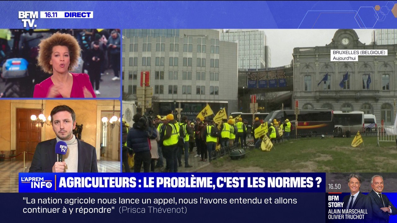 Aurélien Taché, député EELV, sur la colère des agriculteurs: "C'est la droite et l'extrême droite qui ont voté les traités de libre-échange"