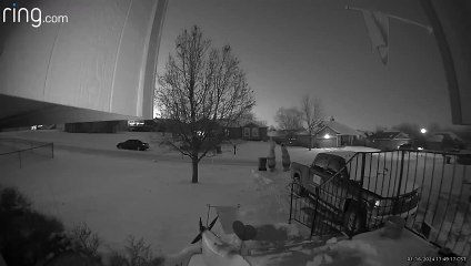 Security Camera Catches T-Rexes Playing in the Snow