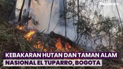 Akibat Fenomena El Nino, 4,5 Hektar Hutan Lindung Terbakar di Bogota