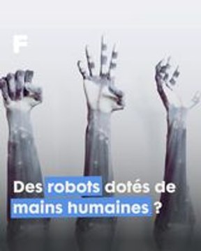 Clone Robotics : L'émergence des Robots Ultra-Réalistes, une Révolution en Mouvement !